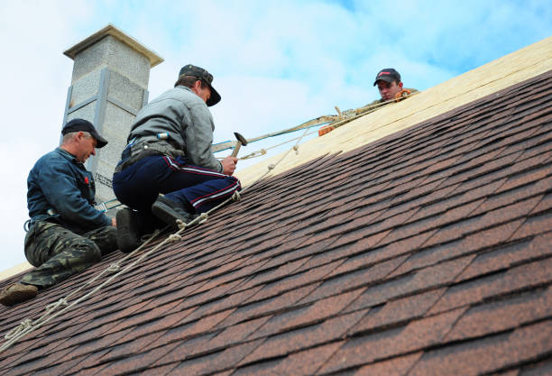 Best Gutter Installation and Roofing  in Five Points, OH